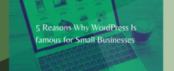 5 Reasons Why WordPress has Become Famous among Small Business in Europe 2021
